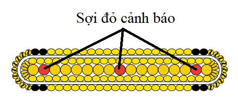 Cáp vải bản dẹt của Mỹ